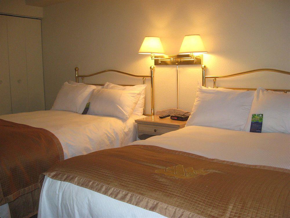 Holiday Inn Express Hotel & Suites Uptown Fredericton By Ihg Eksteriør bilde