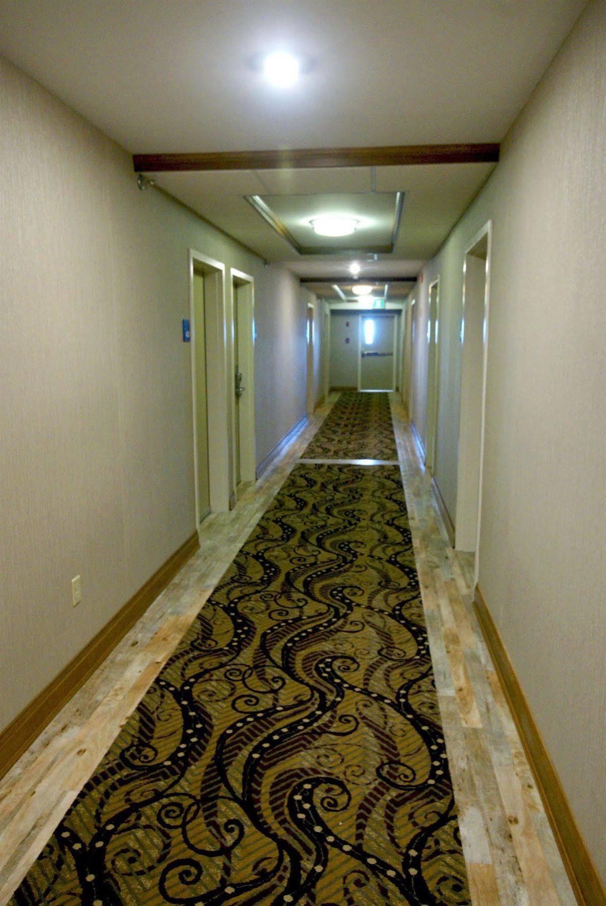 Holiday Inn Express Hotel & Suites Uptown Fredericton By Ihg Eksteriør bilde